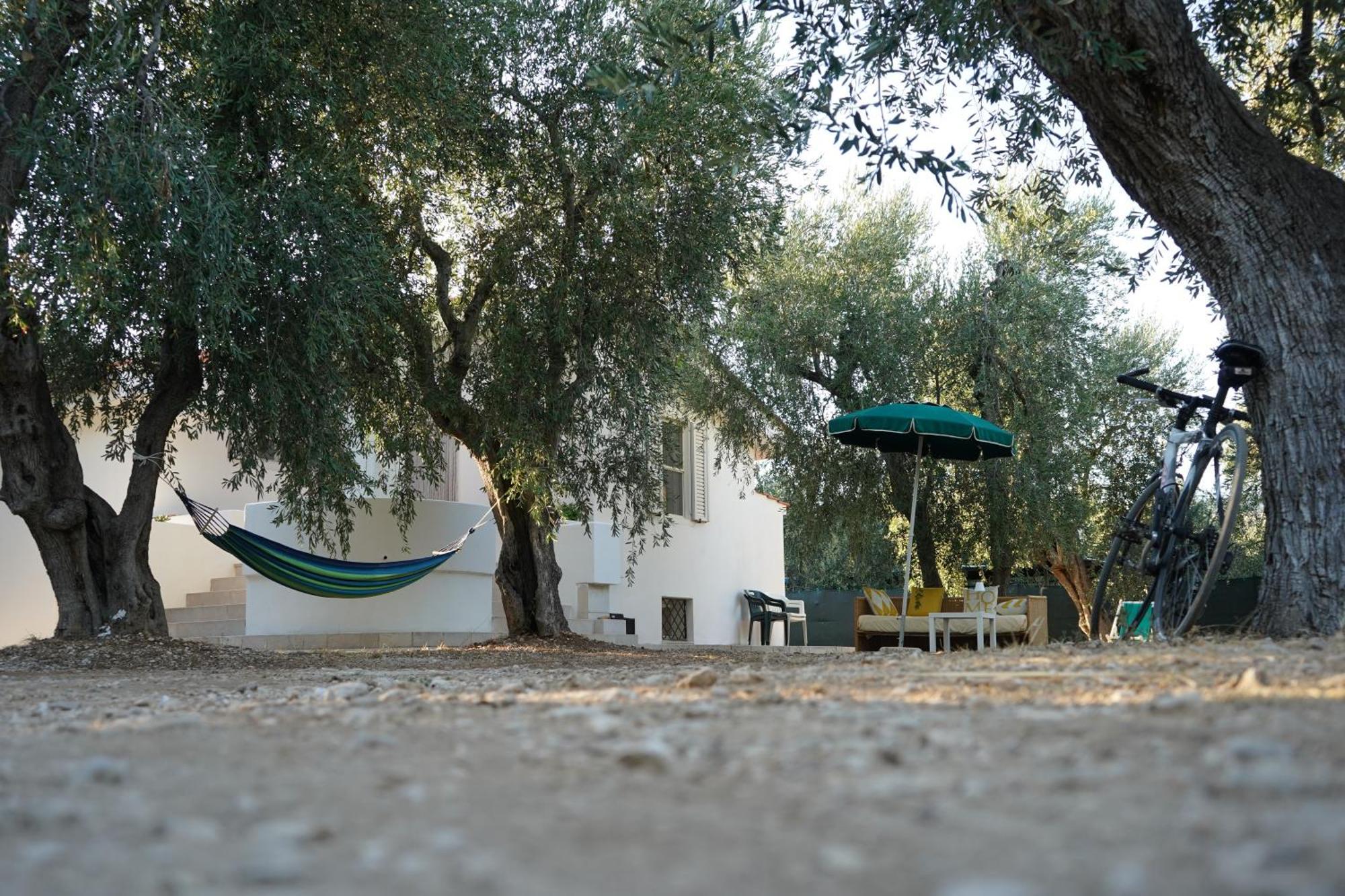 Olive&Sea Villa-Olive Mattinata Exteriör bild