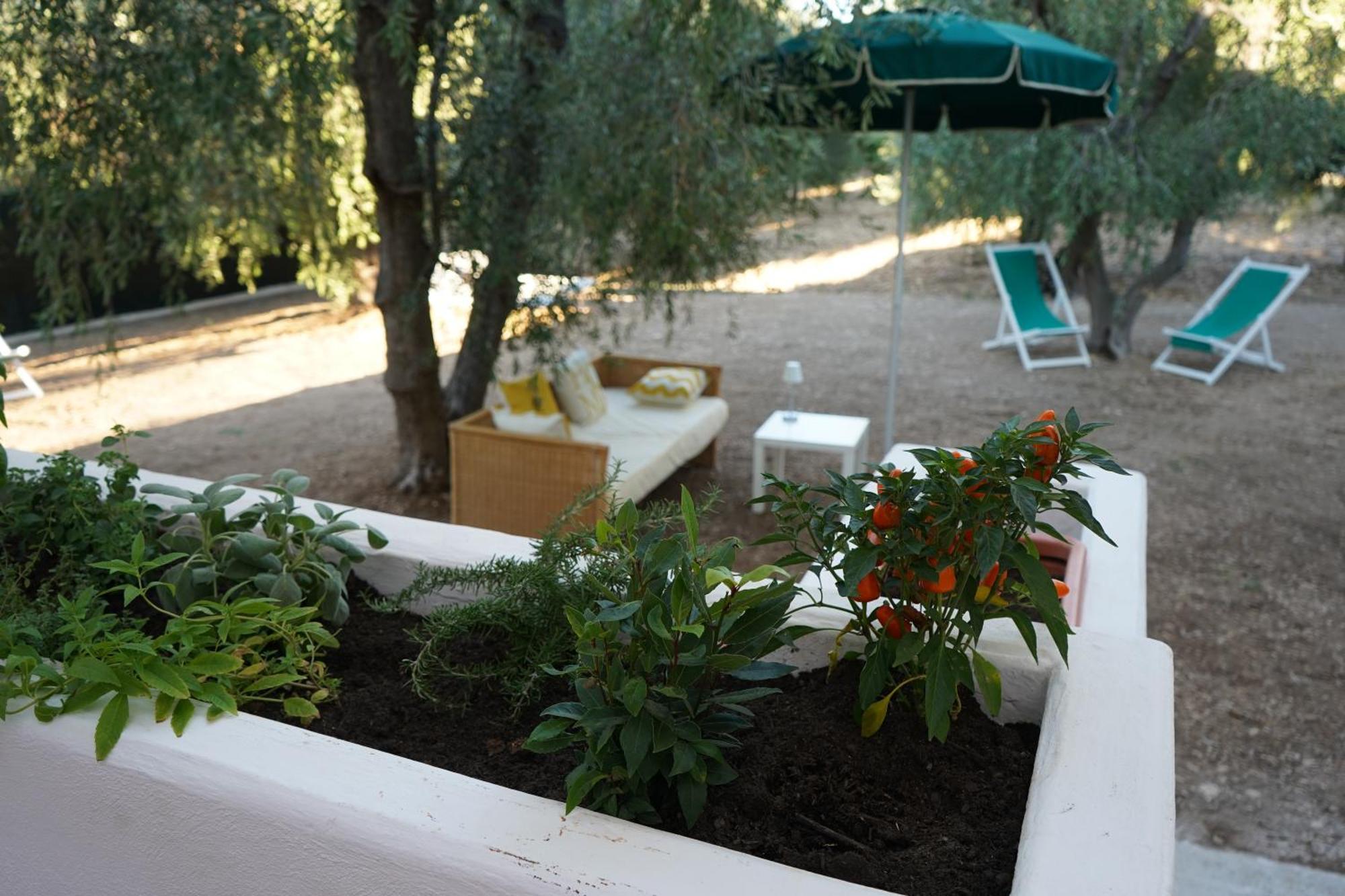 Olive&Sea Villa-Olive Mattinata Exteriör bild