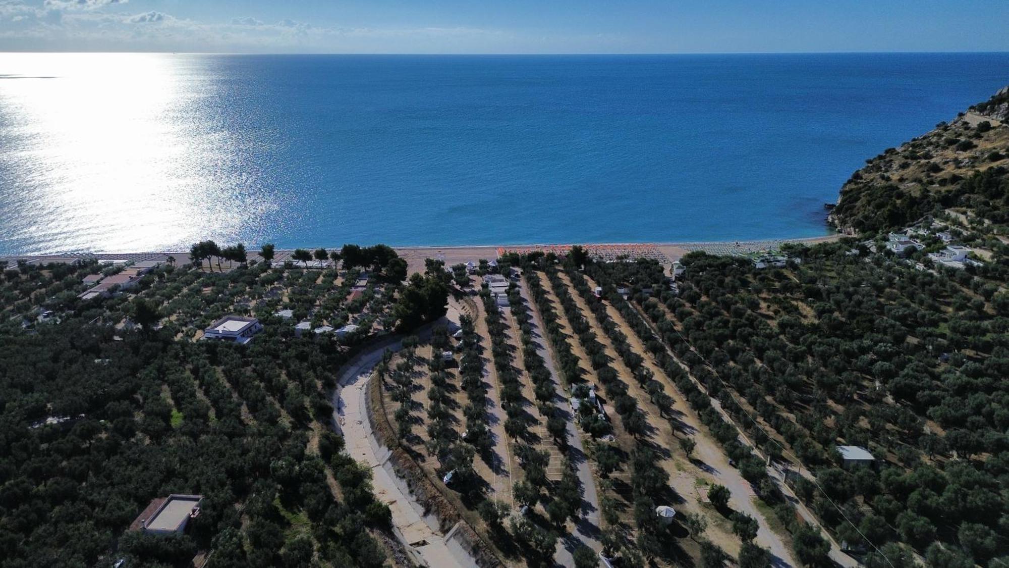 Olive&Sea Villa-Olive Mattinata Exteriör bild