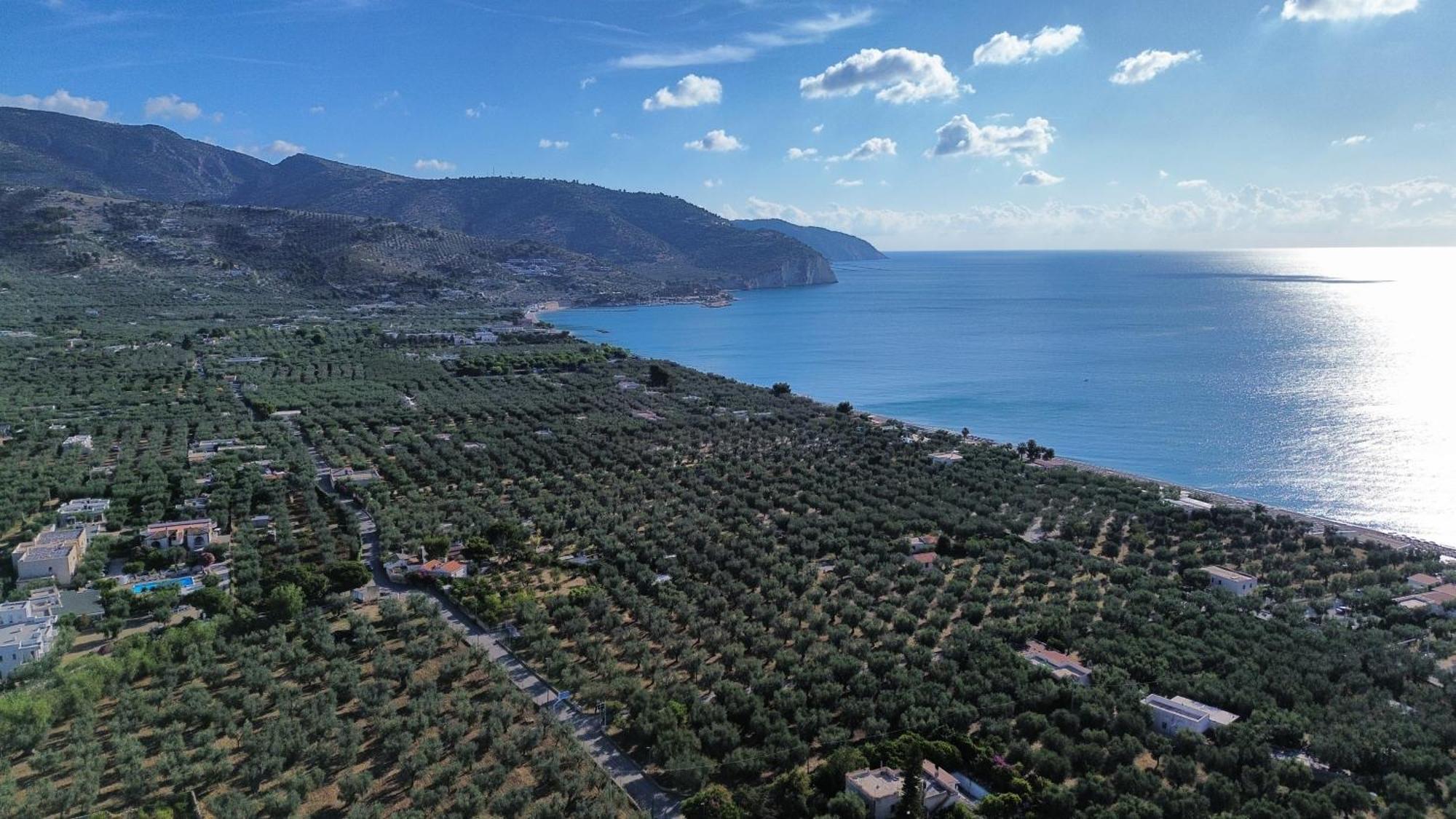 Olive&Sea Villa-Olive Mattinata Exteriör bild